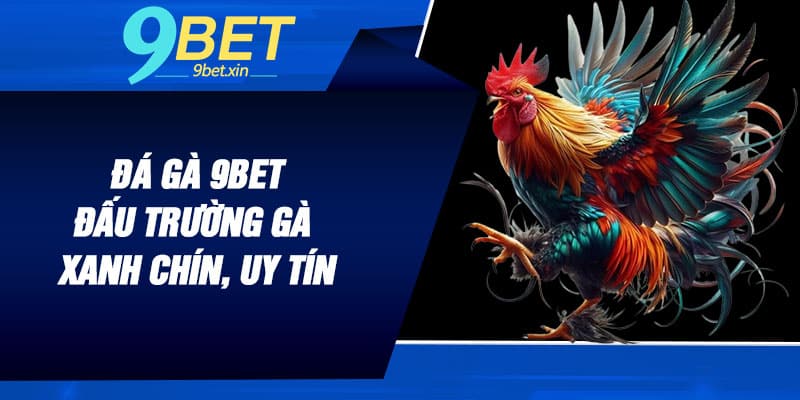Đá Gà 9BET