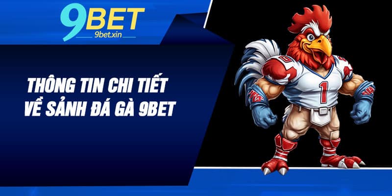 Thông tin chi tiết về sảnh đá gà 9BET