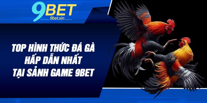 Top hình thức đá gà hấp dẫn nhất tại sảnh game 9BET