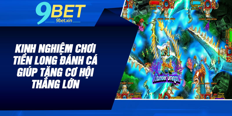 Kinh nghiệm chơi tiền long đánh cá giúp tăng cơ hội thắng lớn 🎯🐟