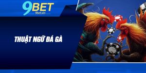 Thuật Ngữ Đá Gà