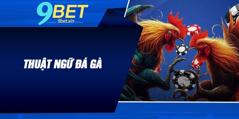 Thuật Ngữ Đá Gà