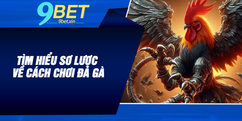 Tìm hiểu sơ lược về cách chơi đá gà